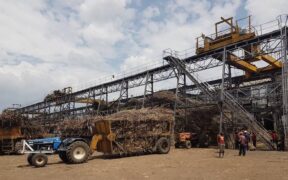 Workers Offload Sugarcane At A Factory In Kenya. PHOTO/ Courtesy
