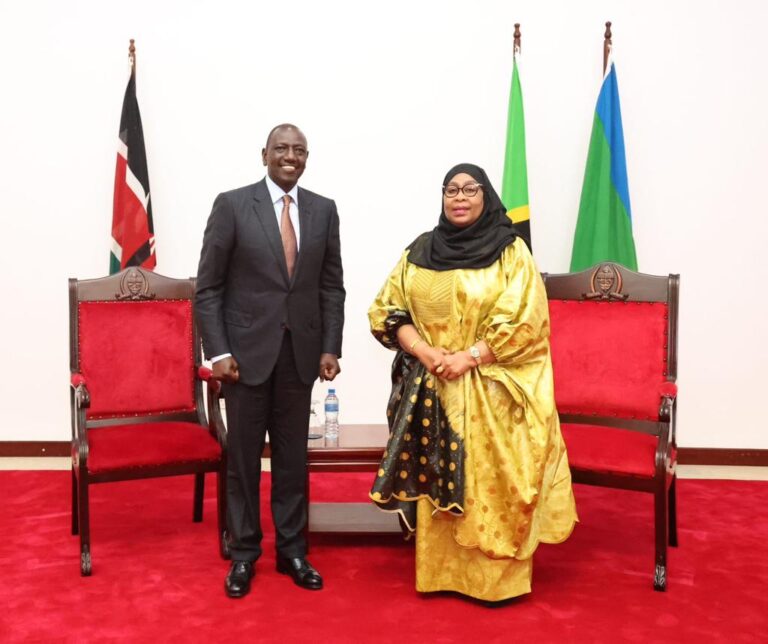 President William Ruto and Tanzania's Samia Suluhu held talks during a visit to Tanzania PHOTO/PCS
