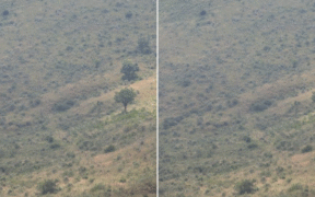 A photo of a fence at Menegai Crater in Nakuru. PHOTO/Yoko