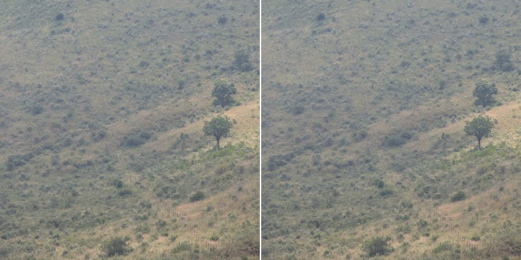 A photo of a fence at Menegai Crater in Nakuru. PHOTO/Yoko