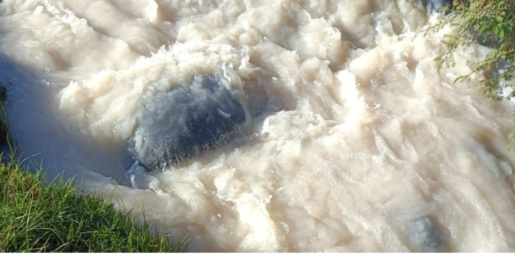 A photo of spilled chemical flowing down a river.
