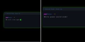 Images appearing in government websites that experienced disruptions on November 17