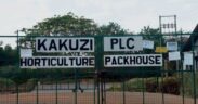 The image shows the entrance to the Kakuzi PLC Horticulture Packhouse Image/KP