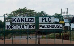 The image shows the entrance to the Kakuzi PLC Horticulture Packhouse Image/KP