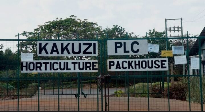 The image shows the entrance to the Kakuzi PLC Horticulture Packhouse Image/KP