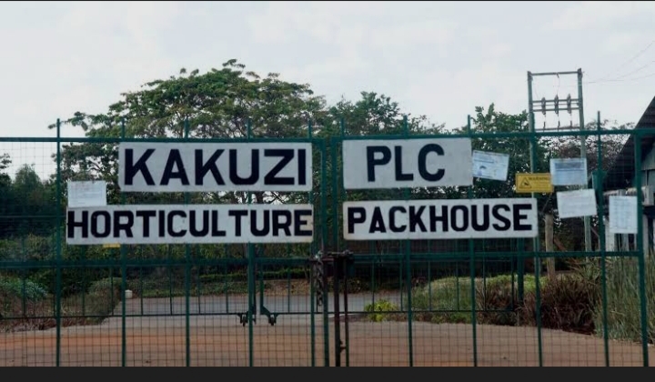 The image shows the entrance to the Kakuzi PLC Horticulture Packhouse Image/KP