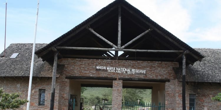 Masai Mara Oloolaimutai gate. PHOTO/Masai Mara.