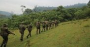 A section of Rangers from the Kenya Forest Service (KFS) during a past operation. PHOTO/DN