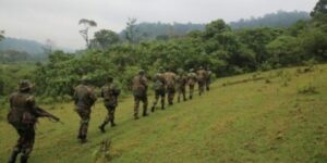 A section of Rangers from the Kenya Forest Service (KFS) during a past operation. PHOTO/DN