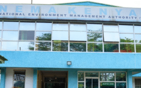 NEMA structure for representation. PHOTO/pixels