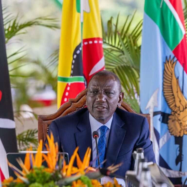 President William Ruto chairing a cabinet meeting on November 11, 2025. PHOTO/PCS.
