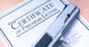 A sample of Firearm Certificate for illustration purposes. PHOTO/IS