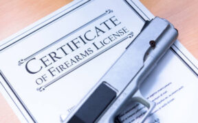 A sample of Firearm Certificate for illustration purposes. PHOTO/IS