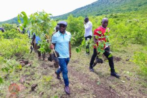 Interior Security and National Administration PS Dr. Raymond Omollo Leads a Tree Planting Exercise at Gembe Hills, Homa Bay County In a Past Event. PHOTO/ Omollo X