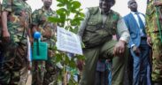 President William Ruto Plants a Tree During the Launch of the National Programme for Accelerated Forestry and Rangelands Restoration on December 16, 2022. Photo courtesy of PPS