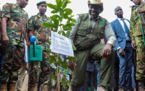 President William Ruto Plants a Tree During the Launch of the National Programme for Accelerated Forestry and Rangelands Restoration on December 16, 2022. Photo courtesy of PPS
