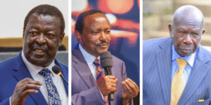 A Collage of Kenya's Vice-President’s, from left, Musalia Mudavadi, Kalonzo Musyoka, and Moody Awori. PHOTO/ File