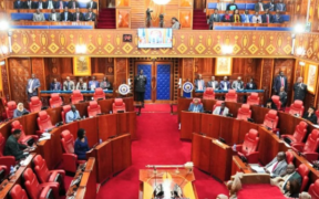 Governor Amos Nyaribo appears before the senate for his first hearing after being impeached Image/senate Kenya