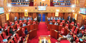 Governor Amos Nyaribo appears before the senate for his first hearing after being impeached Image/senate Kenya