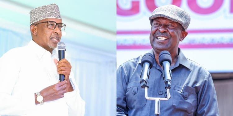 A photo collage of Prime CS Musalia Mudavadi and Health CS Aden Duale. PHOTO/OPCS.