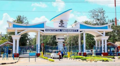 KENYATTA UNIVERSITY COURSES AND FEES visual data 8