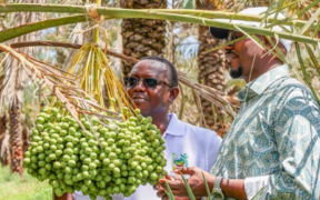 AFA DG Dr.Bruno Linyiru and COG Chair FCPA Ahmed Abdullahi. PHOTO/pixels