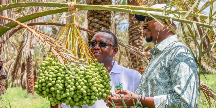 AFA DG Dr.Bruno Linyiru and COG Chair FCPA Ahmed Abdullahi. PHOTO/pixels