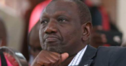 President William Ruto image. PHOTO/pixels