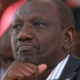 President William Ruto image. PHOTO/pixels