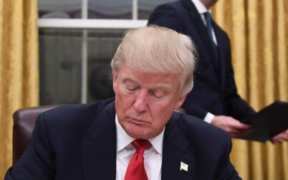 President Trump signed to law that all visitors from Visa waived countries must submit their social media data and emails and family information to enhance security screening Image/Trump/X