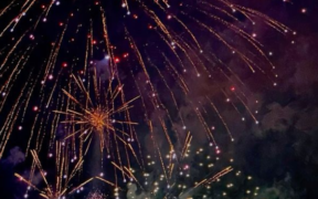 An image of fireworks during new year celebrations