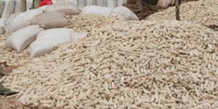 Agriculture Cabinet Secretary (CS) Mutahi Kagwe has issued a one-month ultimatum to maize hoarders to release their stocks to the market..kagwe