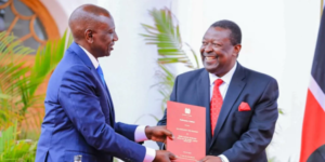 UDA Party Breaks Silence After Court Declared Merger With ANC Unconstitutional