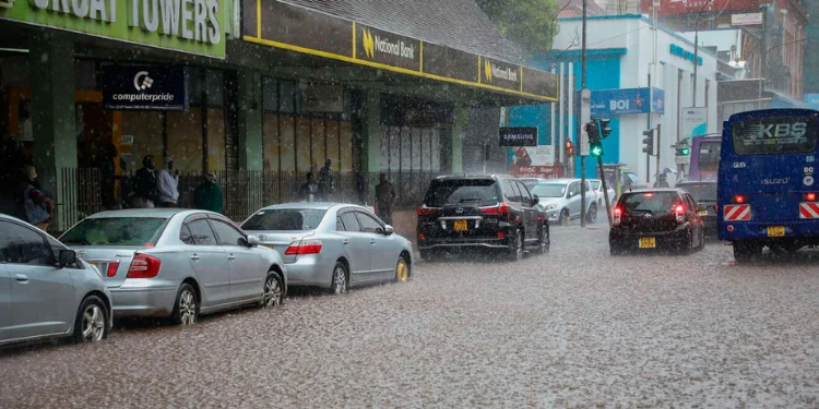 Kenya Met Lists Areas Expected to Receive Rainfall as Mid-February Approaches