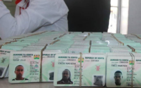 Uncollected ID Cards. PHOTO/Courtesy.