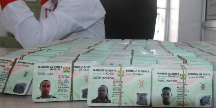 Uncollected ID Cards. PHOTO/Courtesy.