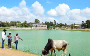 The image shows a section of the Tala Dam PHOTO/Pius/Nation Media