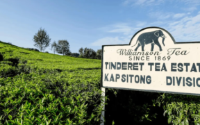 Williamson Tea Executive Director Samuel Thumbi Resigns After 44 Years of Service