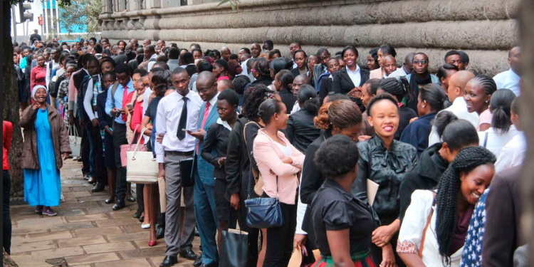 Ministry of Agriculture Announces 354 Jobs, Including Position for Drivers and Cooks