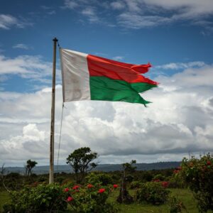 Madagascar’s Flag On A Flowery Vegetation. PHOTO/ File