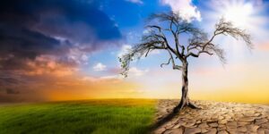 An illustration of climate change. PHOTO/Courtesy