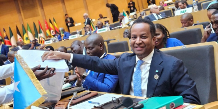 Somalian Delegate During the Voting Process To Include Somalia in African Union Peace and Security Council (PSC). PHOTO/ File