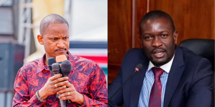 A Photo Collage of Embakasi East MP Babu Owino and Nairobi Senator Edwin Sifuna. PHOTO/ File