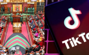 A Photo Collage on Kenyan MPs in Parliamentary Session and TikTok App. Photo/ File