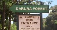A Photo Of Karura Forest Gate C Entrance. PHOTO/ KFS