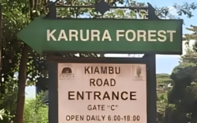 A Photo Of Karura Forest Gate C Entrance. PHOTO/ KFS