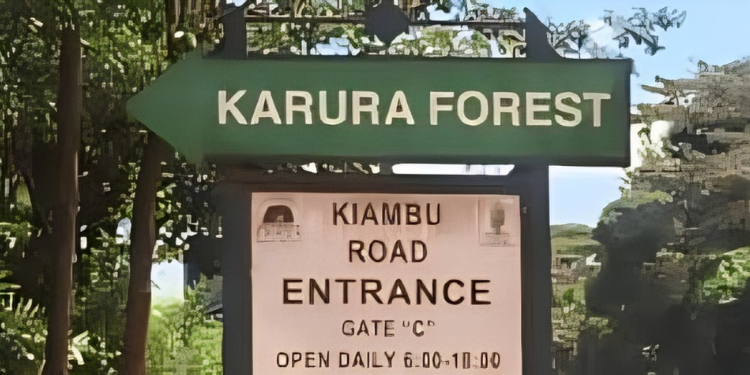 A Photo Of Karura Forest Gate C Entrance. PHOTO/ KFS
