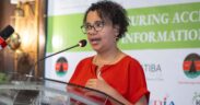 Katiba Institute’s Executive Director, Nora Mbagathi during a past event. PHOTO/Courtesy