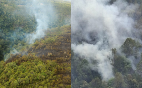 Kenya Forest Service said prolonged dry conditions and unsafe honey-harvesting practices caused the blaze