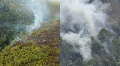 Kenya Forest Service said prolonged dry conditions and unsafe honey-harvesting practices caused the blaze
